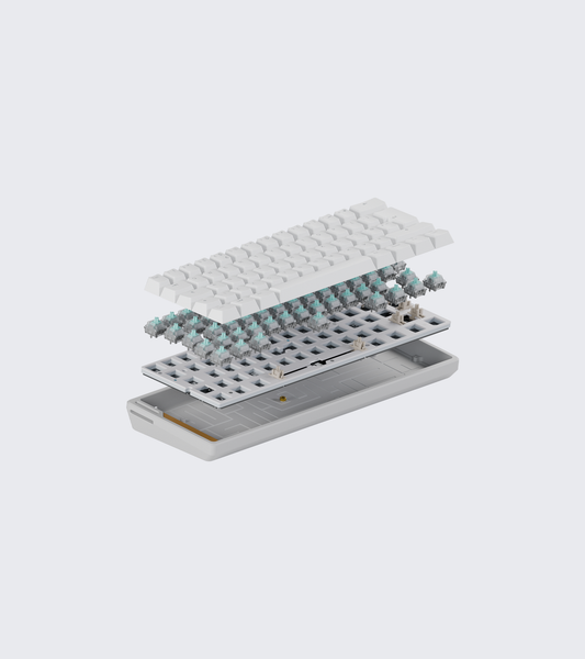 Wooting 60HE+ Module - Off White Build